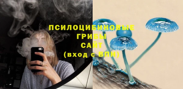 прущие грибы Абаза