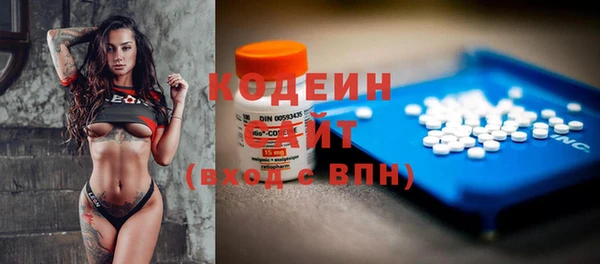 прущие грибы Абаза