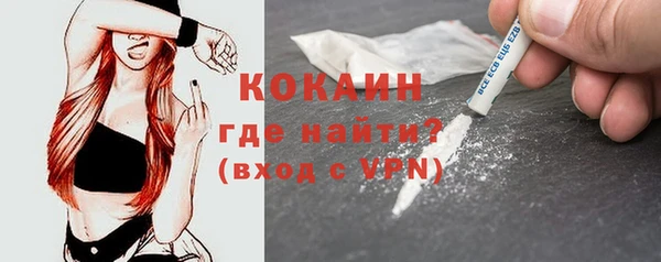 прущие грибы Абаза