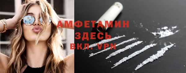 прущие грибы Абаза
