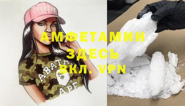 прущие грибы Абаза