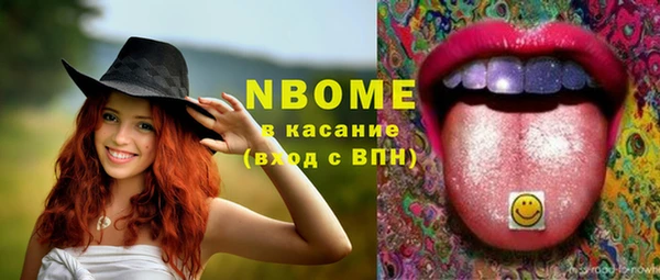 прущие грибы Абаза