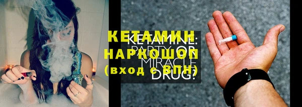 прущие грибы Абаза
