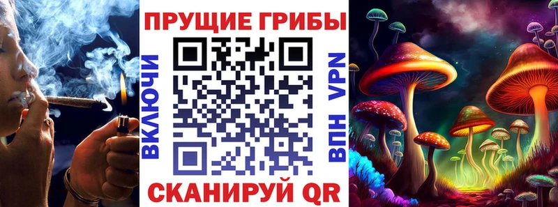 где можно купить omg как войти Псилоцибиновые грибы Magic Shrooms Иланский