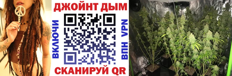 цена наркотик  Иланский  Бошки марихуана сатива 